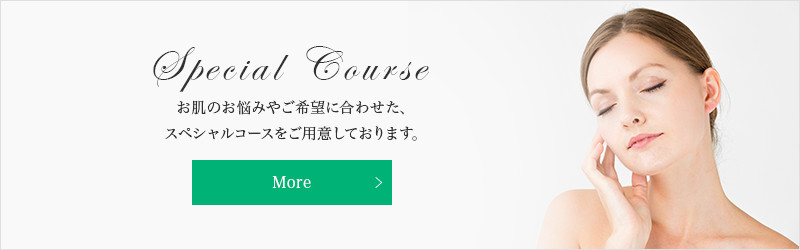 Special Course