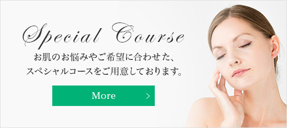 Special Course